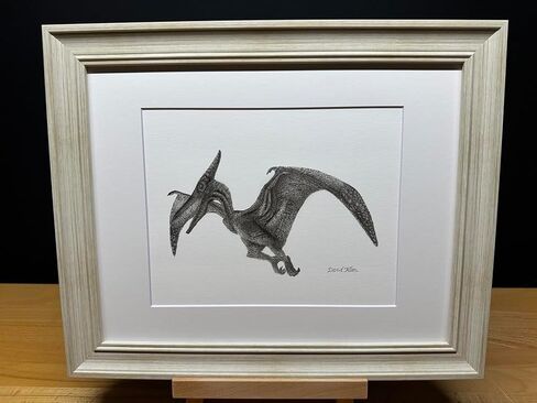 Hand Drawn Pterodactyl Dinosaur Bird Graphite Pencil Art Sketch Drawing Print Picture Limited Edition ~ Titled 'Winged Giant' by David Allen (8x10 White Frame & Print) in Saudi Arabia