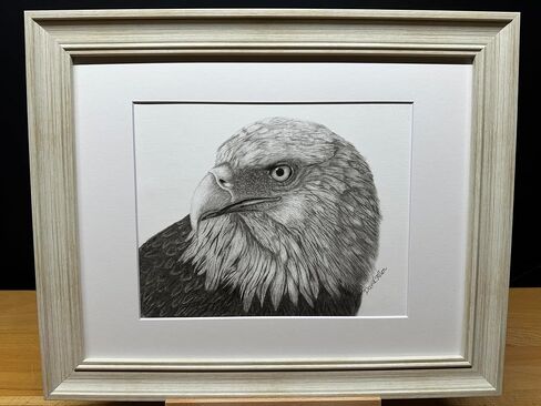 American Bald Eagle Bird Wildlife Nature Graphite Pencil Art Sketch Drawing Print Picture Titled 'Patriot' by David Allen (11x14 Brown Frame & Print) in Saudi Arabia