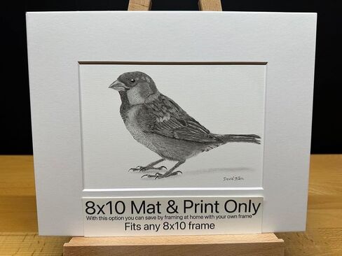 Sparrow Bird Graphite Pencil Art Sketch Drawing Print Picture Limited Edition Titled 'Sparrow' by David Allen (8x10 Black Frame & Print) in Saudi Arabia