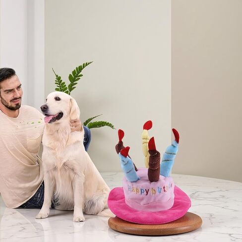 قبعة حفلة حيوان أليف لطيفة للكلاب والقطط - قبعة عيد ميلاد ناعمة رقيقة مع 5 شموع ملونة (زرقاء) ، حزام قابل للتعديل لهالوين ، أزياء واطلاقيات الصور ، يناسب حيوانات أليفة صغيرة إلى كبيرة ، قابلة للغسل ومريحة (الأزرق) in Kuwait