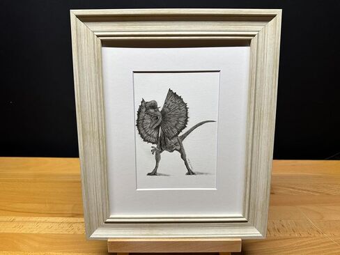 يرسم يدويًا Dilophosaurus dinosaur graphite art art sketch رسم طباعة صورة محدودة ~ بعنوان "Fralled Out" بقلم David Allen (8x10 Mat & Print Only) in Kuwait
