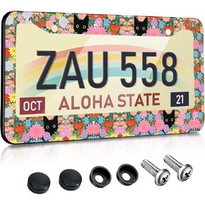License Plate Frames for Women Car Plate Holder Cover Cute Funny Cartoon Girl Metal Tag Frame Stainless Steel Car Accessories Front Rear Plate Decor