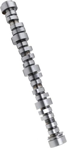 محرك عمود الحدبات الهيدروليكية الأسطوانة رفع كام ل LS1 2000-2007 5.7 لتر V8 استبدال E-1841-P قذرة المرحلة 3 in Kuwait