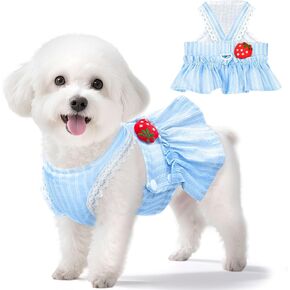 Cute Strawberry Small Dog Dress with D-Ring Princess Lace Girl Female Dog Clothes Spring Summer Breathable Mesh Pet Puppy Cats Harness Dress for Shih Tzu Yorkies Chihuahua Maltese(Pink,Small)