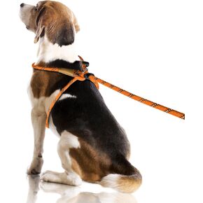 Lynxking No Pull Rope Dog Harness No Pull Reflective Leash Harness Collar 3 in 1 Dog Halter Harnesses Adjustable for Large Giant Dog (Light Purple, Large 1/2 inch)