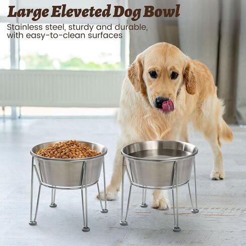 Elevated Dog Bowls for Medium&Small Dogs - Stainless Steel 48oz/6 Cups Raised Feeder with Non-Slip Base, Dual Food & Water Bowls 2-Pack in Saudi Arabia