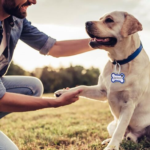 علامات معرّف PET عميقة مخصصة للمنشطين محفورة على كلا الجانبين عظم العظم المخصص الكلب الكلب. in Kuwait