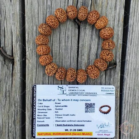 7 Mukhi Lab Certified Rudraksha Bracelet, Shiva Bracelet, Yoga Bracelet, Seven Faced Rudraksha Bracelet, Gift For Yoga Lover in Saudi Arabia