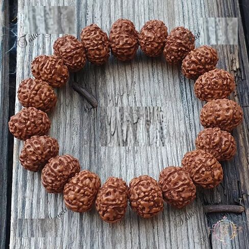 7 Mukhi Lab Certified Rudraksha Bracelet, Shiva Bracelet, Yoga Bracelet, Seven Faced Rudraksha Bracelet, Gift For Yoga Lover in Saudi Arabia