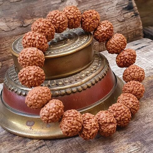 7 Mukhi Lab Certified Rudraksha Bracelet, Shiva Bracelet, Yoga Bracelet, Seven Faced Rudraksha Bracelet, Gift For Yoga Lover in Saudi Arabia