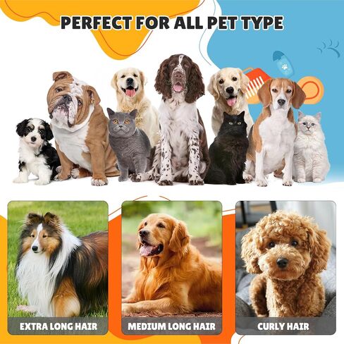 mollie Pet Grooming Kit 3-in-1 Drying & Cleaning & Cutting Pet Hair, Grooming Vacuum with 5 Pet Grooming Tools and 4 Clipper Guards for Large Doggy Cats, 4L Large Dust Box, Blue in Saudi Arabia