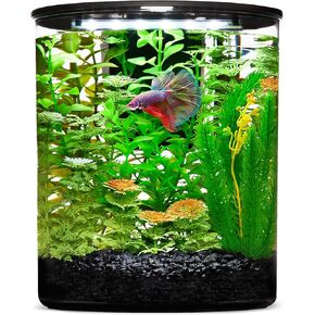 imagitarium Plastic Cylinder Betta Aquarium 2.5 Gallon