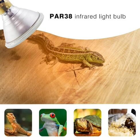 Heat Lamp PAR38 2 Pack Red Infrared Heavy Glass Lamp Bulb for Food Service,Brooder Bulb,Chicks,Pet, Bathroom,Light Therapy,Reptiles and Amphibian (Red, 150 Watts) in Saudi Arabia