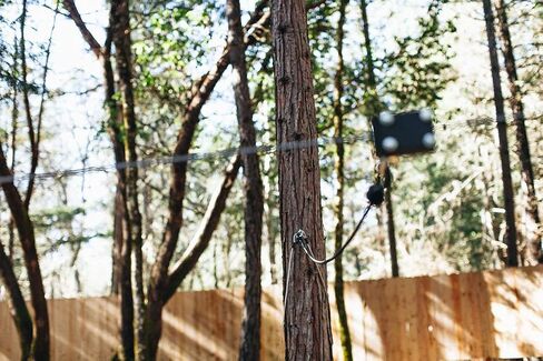 طقم خط zip Rogue 200 (مجموعة واحدة من معدات ركوب الخيل) in Kuwait