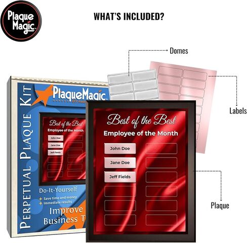 DIY Perpetual Plaque Award Kit | No Engraving Costs | Employee Recognition | Employee of The Month | Employee of The Year | Best of The Best | Achievement Awards (12 Plate, Bold Gold) in Saudi Arabia
