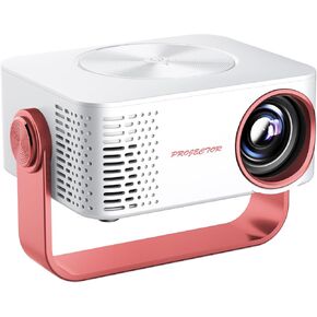 Protable projector