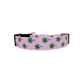 Palm Trees Dog Collar (Large (1.5" wide))