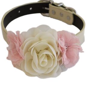Handmade blush Ivory Flower dog collar, flower leather collar, Dog ring bearer proposal XS to XXL collar, Puppy Girl flower collar