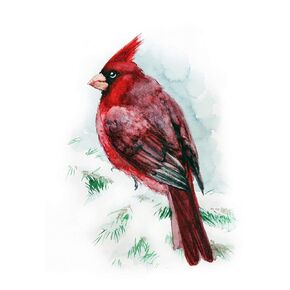 Red Cardinal Print 8x10 in Watercolor Art Bird Living Room illustration nursery. Fine Art Animal Woodland Prints Forest Wildlife Home Decor Bird Unframed