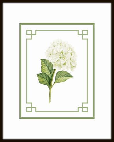 Blue Hydrangea Botanical Prints No. 3, Botanical Prints, Wall Art Prints, Vintage Wall Art, Vintage Wall Decor, Vintage Art Prints, Botanical Wall Decor (PAPER PRINT - UNFRAMED, 5X7 SET OF 2) in Saudi Arabia