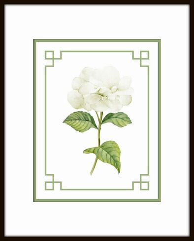 Blue Hydrangea Botanical Prints No. 3, Botanical Prints, Wall Art Prints, Vintage Wall Art, Vintage Wall Decor, Vintage Art Prints, Botanical Wall Decor (PAPER PRINT - UNFRAMED, 5X7 SET OF 2) in Saudi Arabia