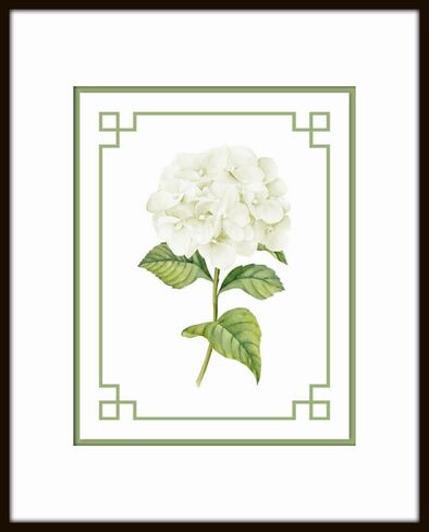 Blue Hydrangea Botanical Prints No. 3, Botanical Prints, Wall Art Prints, Vintage Wall Art, Vintage Wall Decor, Vintage Art Prints, Botanical Wall Decor (PAPER PRINT - UNFRAMED, 5X7 SET OF 2) in Saudi Arabia