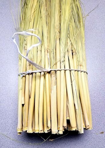 Craft Broom Corn with Stalks 2 Pound Bundle 24-36" Length in Saudi Arabia