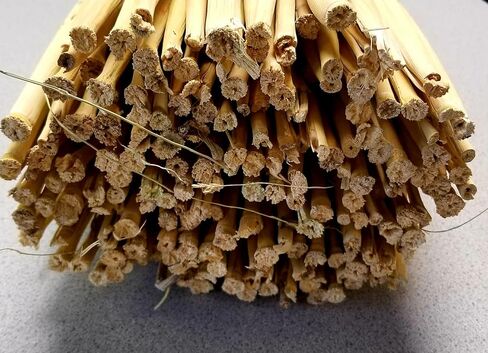 Craft Broom Corn with Stalks 2 Pound Bundle 24-36" Length in Saudi Arabia