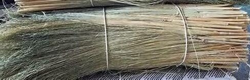 Craft Broom Corn with Stalks 2 Pound Bundle 24-36" Length in Saudi Arabia