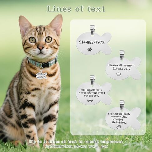 Cat Tags Personalized Small – Engraved Stainless Steel Pet ID Tag, Custom Name Tags Suitable for Small Dogs (Silver, Cat-Regular Size) in Saudi Arabia