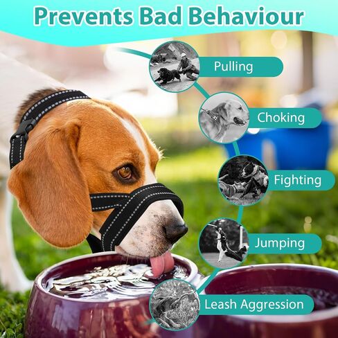 Dog Headcollar, Anti-Pull Dog Collar, Adjustable Reflective Dogs Muzzles, No Pull Mouth Harness with Training Leash (Black) in Kuwait