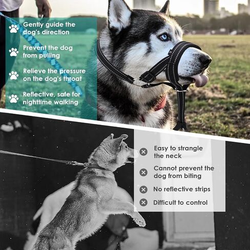 Dog Headcollar, Anti-Pull Dog Collar, Adjustable Reflective Dogs Muzzles, No Pull Mouth Harness with Training Leash (Black) in Kuwait