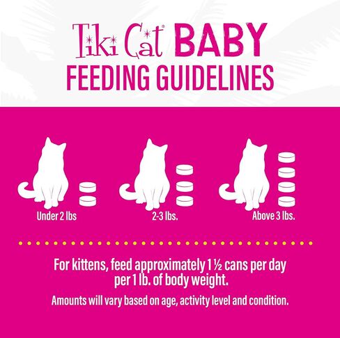 تيكي كات بيبي بات، طعام القطط الرطب، الدجاج، البط وكبد البط، 2.4 أونصة. علب (عبوة من 12) in Kuwait