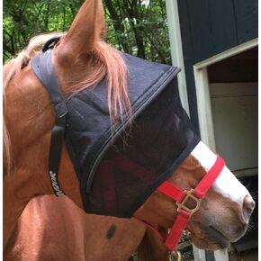 EquiVizor Solar Vizor Horse Fly Mask (Size Full), Superior UV Eye Protection to 99% for Horses with Uveitis, Photosensitivity, Ulcer, Head Shaking