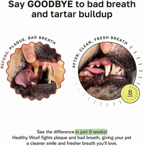 Dental Powder for Dogs Teeth Cleaning. Complete Oral Care Bone Broth. Made in The USA. 2.1 oz, 30 Scoops in Saudi Arabia