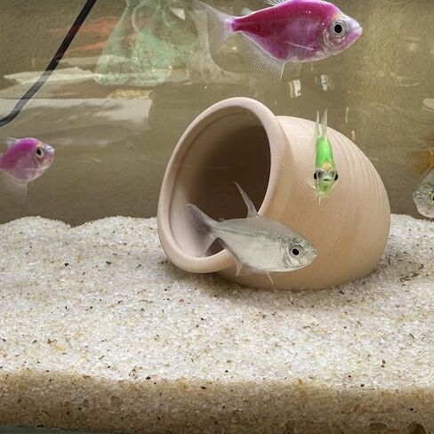 Aquarium Sand, 2lbs Beige Fish Tank Sand, Aquarium Gravel Substrate for Aquascaping, Vivariums, Terrariums, Plants and Crafts in Kuwait