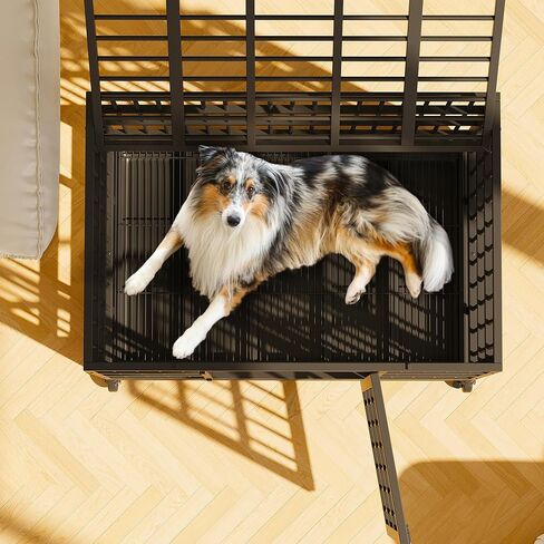 Shintenchi 48 inch Heavy Duty Crates for Large Dog, Indestructible and Escape-Proof Cage Kennel with Lockable Wheels, Double Door High Anxiety with Removable Tray, Black in Kuwait