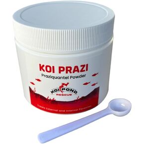 KOI PRAZI Fluke Destroyer (100 Grams) for Pond & Aquarium. Koi, Marine, and Ornamental Fish