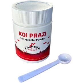 KOI PRAZI Pure Praziquantel Powder for Pond & Aquarium, Effective Fish Treatment for Flukes & Bacterial Infections in Freshwater & Marine Fish (25 Gram)