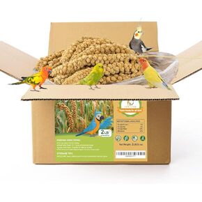 2LB Spray Millet Bird Treat for Parakeets, Natural Sun-Dried Birds Millet Spray for Parrots, Finches, Cockatiel, Budgie & Hamster, Bird Food Bulk