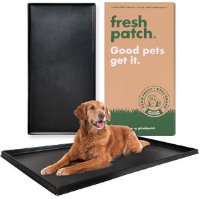 Fresh Patch Plastic Tray for XL Real Grass Pee and Potty Training Pads for Large Dogs and Multi-Dog Households – 4 ft x 2 ft Multi-Purpose and Reusable Crate Tray for Indoor and Outdoor Use
