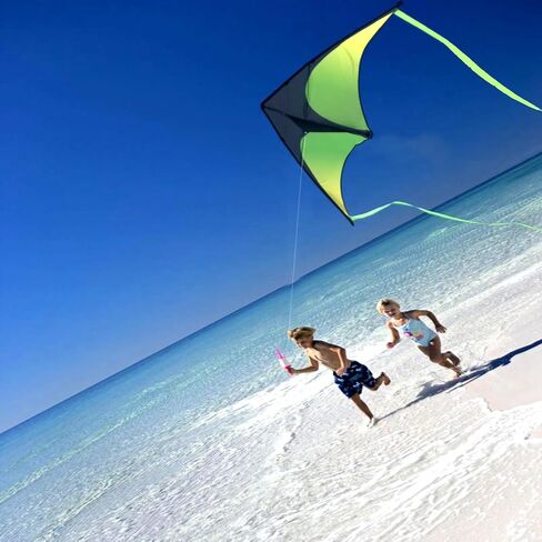 Delta Kite for Kids & Kites for Adults Easy to Fly, Beach Kite, Kids Kite for Beginner, Single Line Kite with 300ft Line for Beach Trip in Saudi Arabia