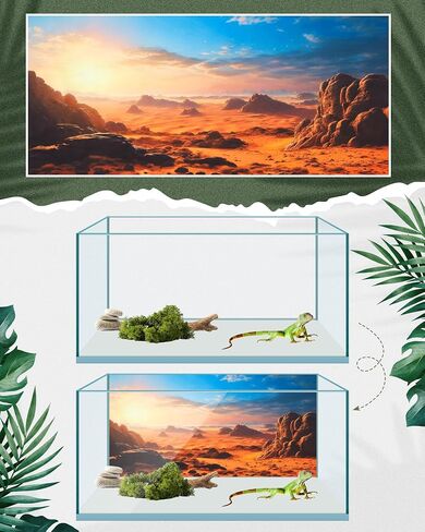BRELING 4 PCS 30 × 11.8 بوصة الخلفية للموائل الزواحف مع Glue GOBI GOBI SUN CATUS و GREEN TREE TREER TREARIUM PROLERTRIEC in Kuwait