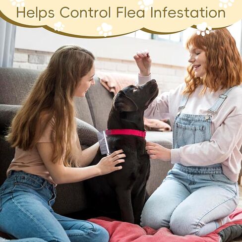 Upgraded 4Pcs Cat Dog Knotting Comb Set - Safer Non-Slip Handle Pet Grooming Tool, Universal Knot Remover Comb for Cats and Dogs, Pet Grooming Supplies (Knotting Cut Combs, Count, 1) in Kuwait