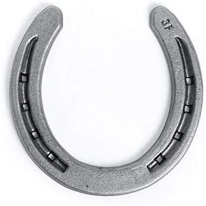 Steel Horseshoes Set for Horses, Crafts, Decorations and Backyard Games - Size 0 - R3-F - Sand Blasted 20 Shoes