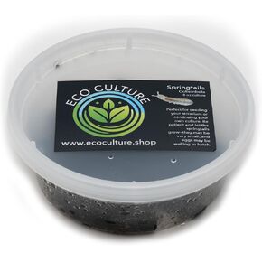 Eco Culture Live Springtails, 8 oz Charcoal Substrate, for Terrariums and Live Food
