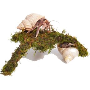 Hermit Crab Accessories, 7 Inch Adjustable Hermit Crab Climbing Toys, Mini Play and Hide Platforms