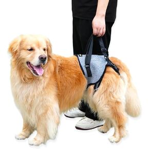 【Upgraded】 Dog Lift Harness for Large Dogs Support Up to 110lb with Handles Locks - Quick-Release Adjustable Mobility Support Harness for Arthritis Surgery Recovery Disabled Elderly Dogs (L)