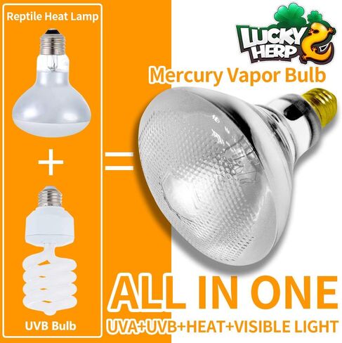 LUCKY HERP 100 Watt UVA+UVB Full Spectrum Vapor Heat Lamp Bulb, High Intensity Self-Ballasted Heat Basking Lamp/Bulb/Light for Reptile and Amphibian, Sun Lamp for Bearded Dragon Lizard Turtle(Clear) in Kuwait