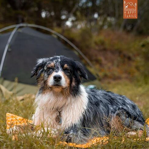 Dog Sleeping Pad—Ultralight Foldable Closed Cell Foam Dog Sleeping Pad—Ultimate for Camping, Backpacking, Hiking—Outdoor Dog Bed—Compact & Lightweight Dog Sleeping Mat (Large) in Saudi Arabia